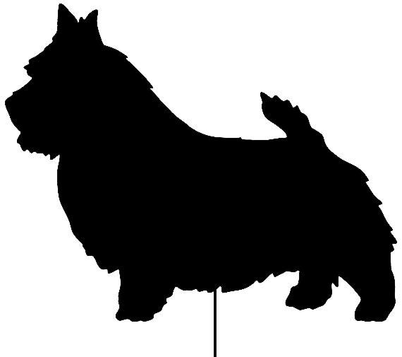 Norwich Terrier Garden Stake