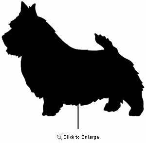 Norwich Terrier Garden Stake