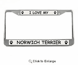 Norwich Terrier License Plate Frame
