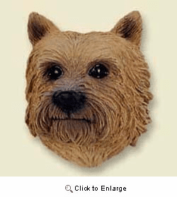 Norwich Terrier Magnet