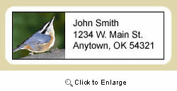 Nuthatch Address Labels