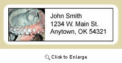 Octopus Address Labels