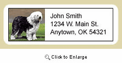 Old English Sheepdog Address Labels
