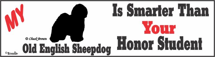 Old English Sheepdog Bumper Sticker Honor Student