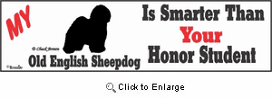 Old English Sheepdog Bumper Sticker Honor Student