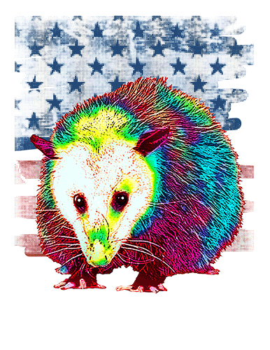 Opossum T Shirt American Flag