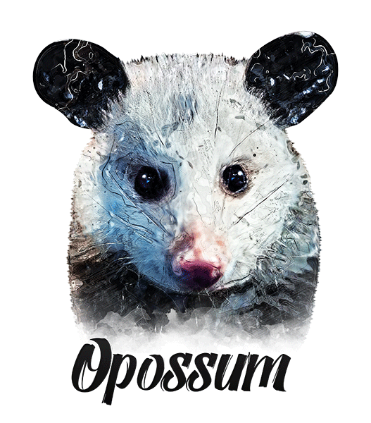 Opossum T-Shirt - Vivid Colors