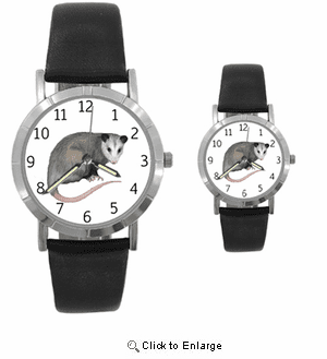 Opossum Watch