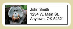 Orangutan Address Labels