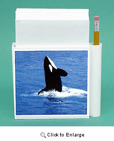 Orca Whale Hold-a-Note