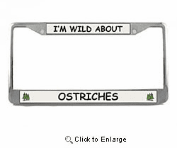Ostrich License Plate Frame