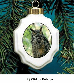 Owl Christmas Ornament Porcelain