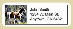 Paint Horse Address Labels