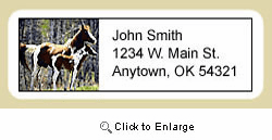 Paint Horse Address Labels