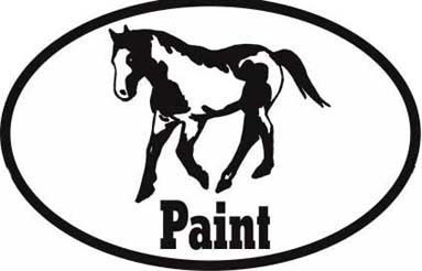 Paint Horse Bumper Sticker Euro