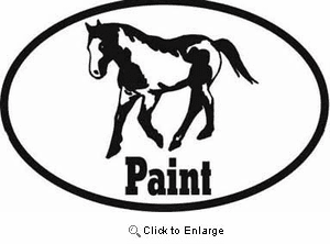 Paint Horse Bumper Sticker Euro