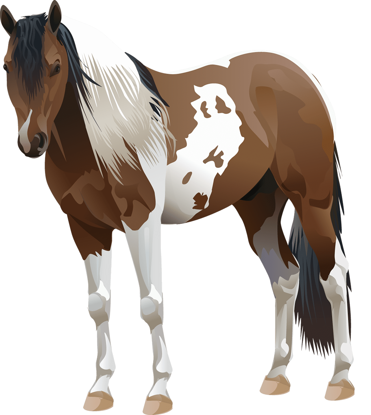 Paint Horse T-Shirt - Vibrant Vector