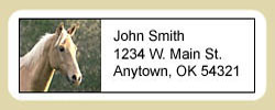 Palomino Horse Address Labels