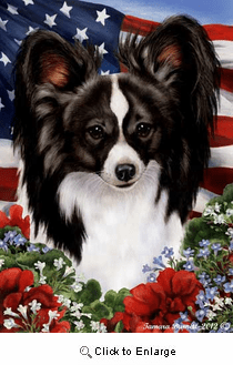 Papillion House Flag