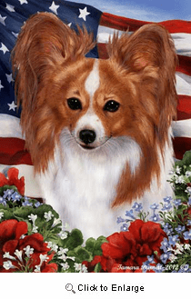 Papillion House Flag Red-White