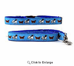 Papillon Collar & Leash