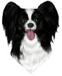 Papillon Decal Window Sticker