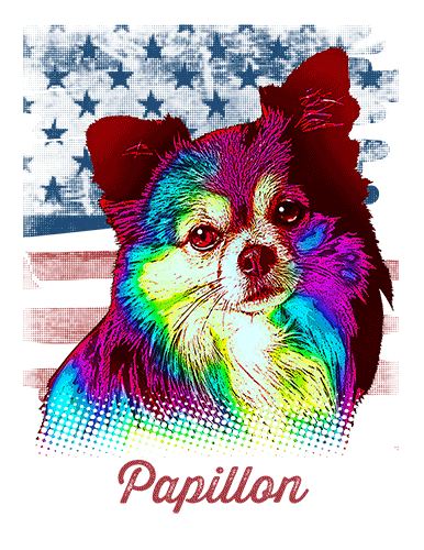 Papillon T Shirt American Flag