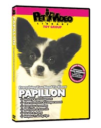 Papillon Video