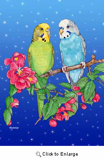 Parakeet Christmas Cards