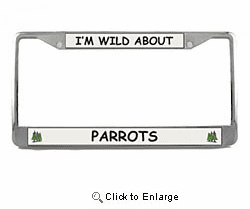 Parrot License Plate Frame