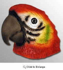 Parrot Magnet