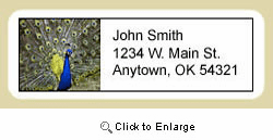 Peacock Address Labels