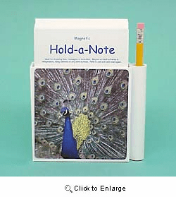 Peacock Hold-a-Note