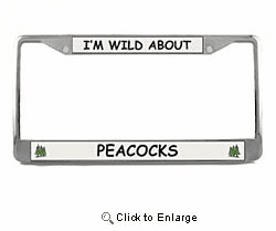 Peacock License Plate Frame