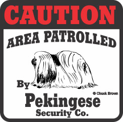 Pekingese Bumper Sticker Caution