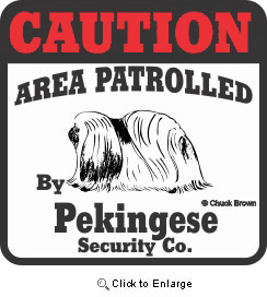 Pekingese Bumper Sticker Caution