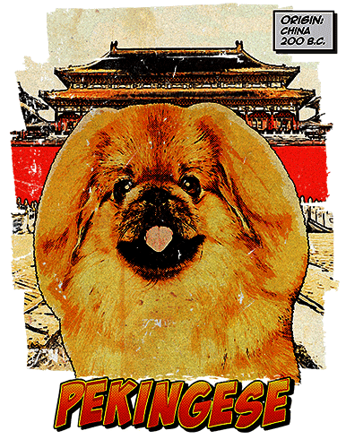 Pekingese T-Shirt Ancestry