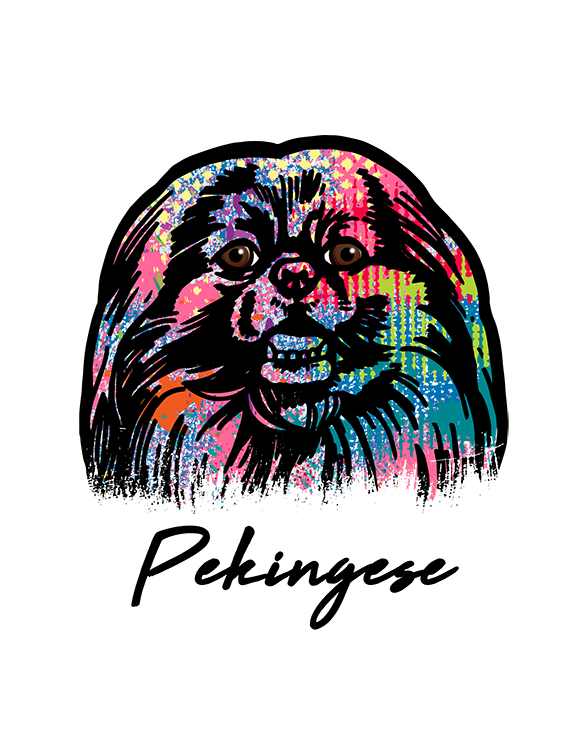 Pekingese T Shirt Colorful Abstract