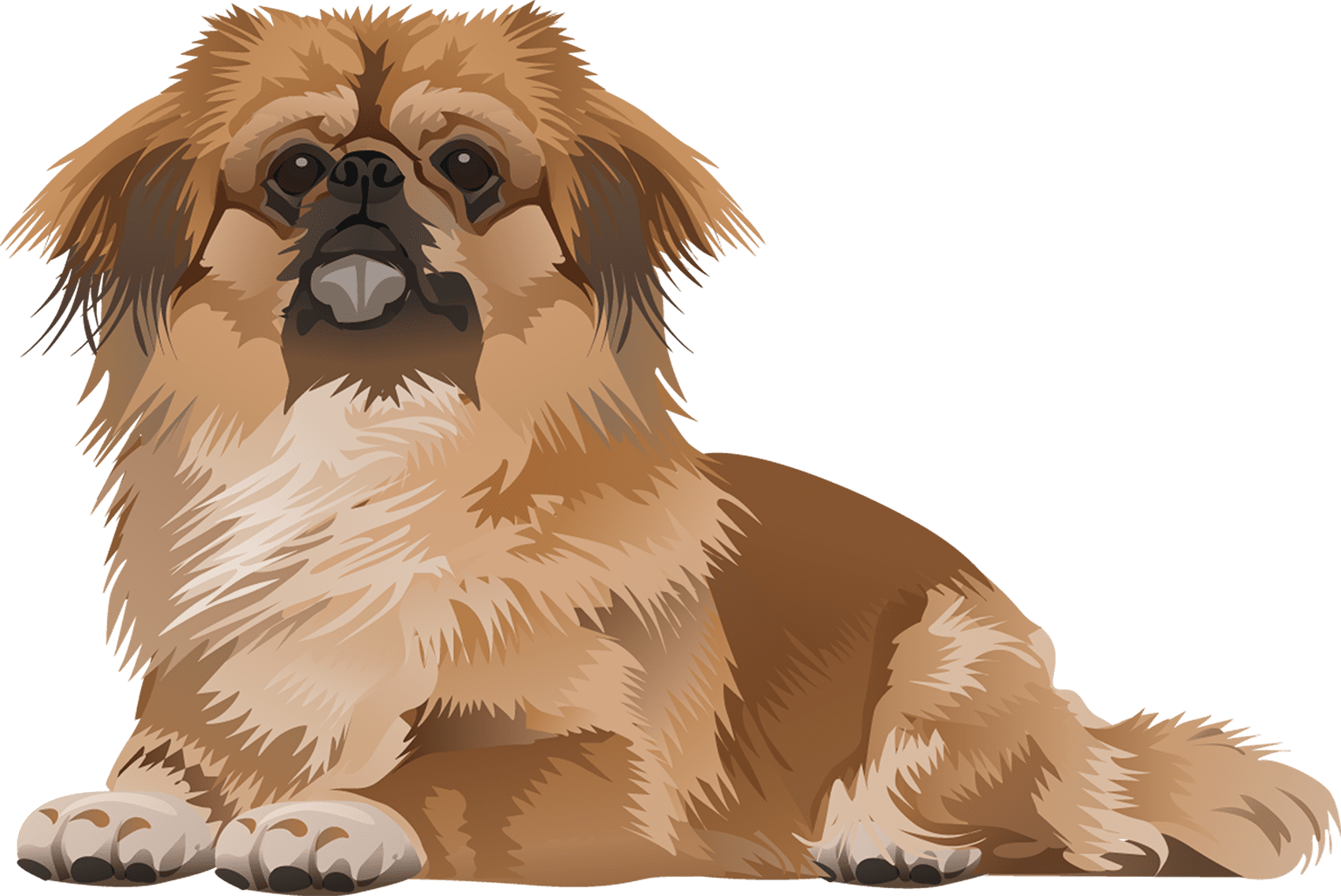 Pekingese T-Shirt - Vibrant Vector