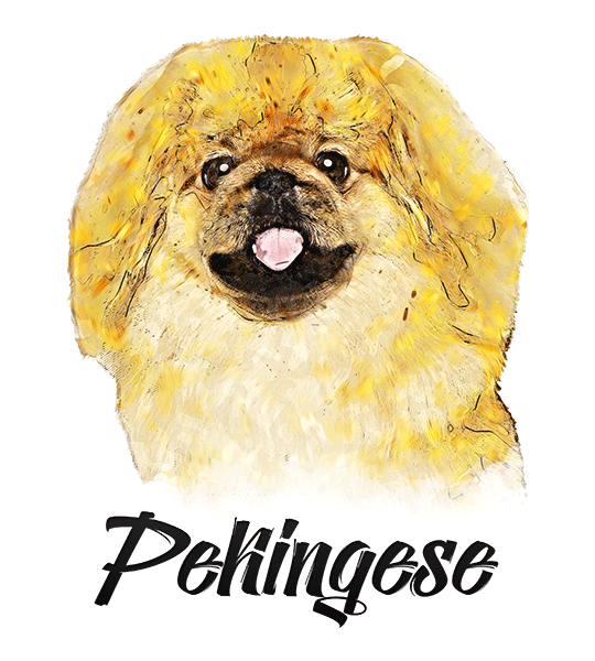 Pekingese T-Shirt - Vivid Colors