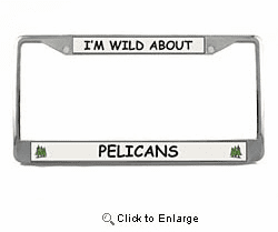 Pelican License Plate Frame