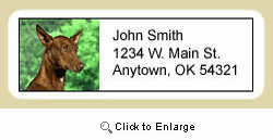 Pharaoh Hound Address Labels