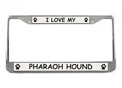 Pharaoh Hound License Plate Frame