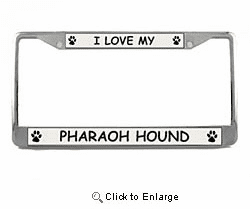 Pharaoh Hound License Plate Frame