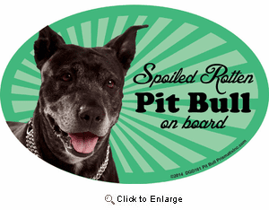 Pit Bull Terrier Car Magnet - Spoiled Rotten