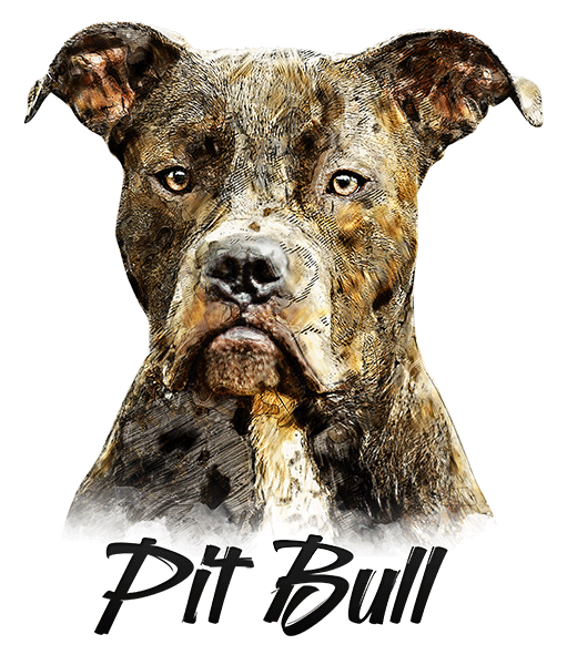 Pit Bull Terrier Gray T-Shirt - Vivid Colors