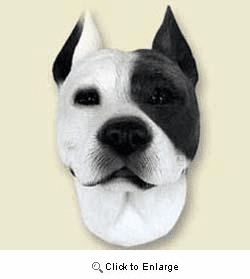 Pit Bull Terrier Magnet