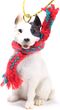 Pit Bull Terrier Tiny One Christmas Ornament White