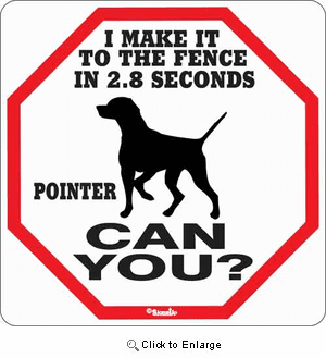 Pointer 2.8 Seconds Sign