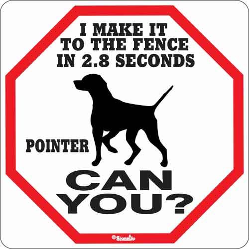 Pointer 2.8 Seconds Sign